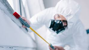 Best Real Estate Pest Inspections  in Louisiana, MO